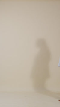 Pearl Neat Everyday Shirt